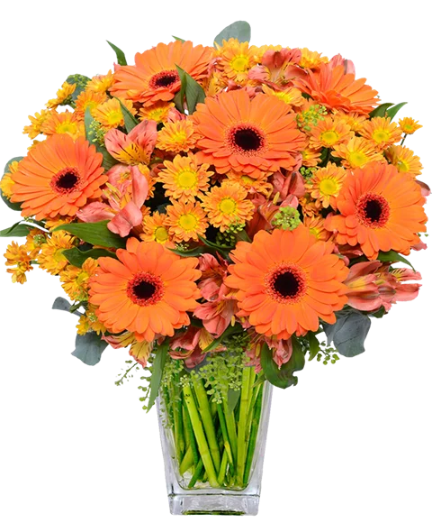 Bouquet di